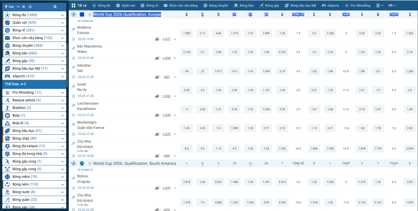 Đấu thầu thể thao trong 1xbet Đấu thầu thể thao trong 1xbet